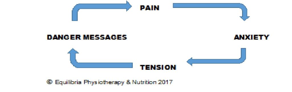 pelvic-pain-that-won-t-go-away-equilibria-physiotherapy-nutrition